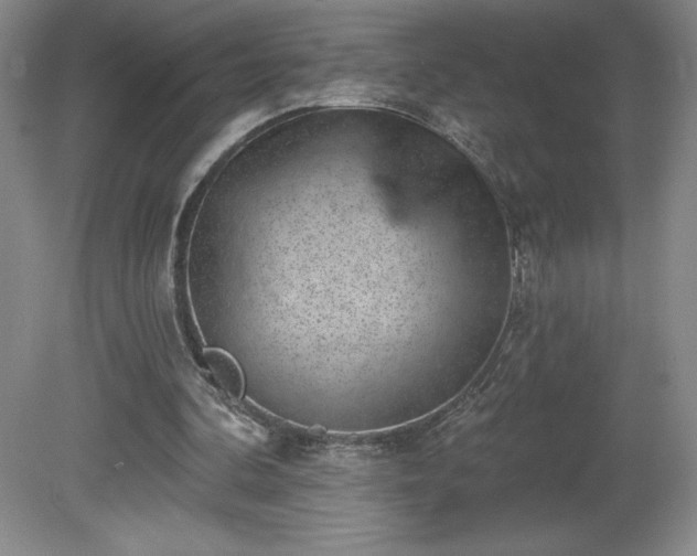 X0000081560292200701221034