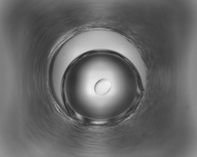 X0000081560293200701221034