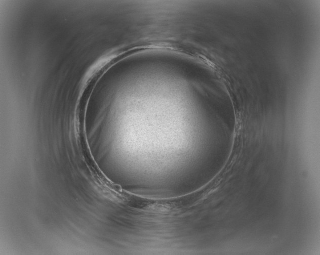 X0000081560294200701221034