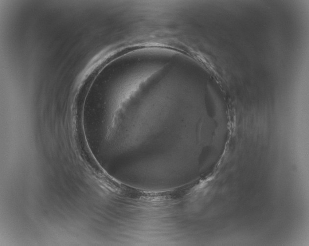 X0000081560295200701221034