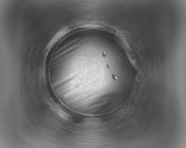 X0000081560296200701221034