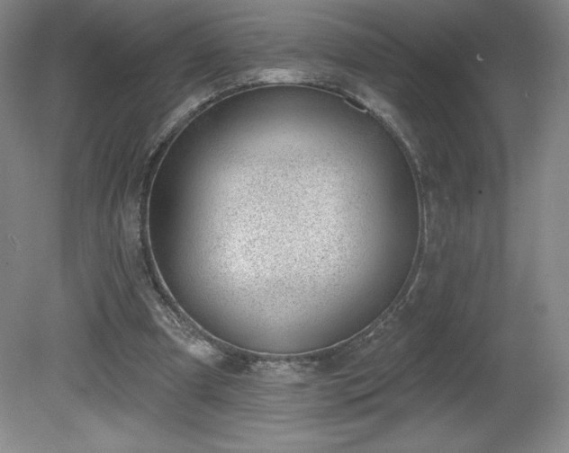 X0000081560297200701221034