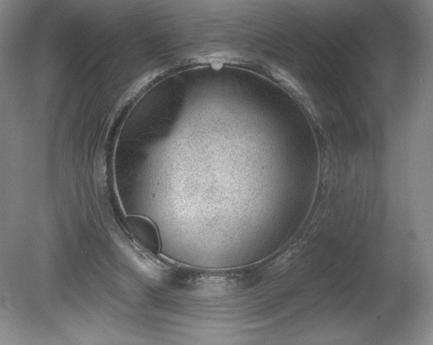 X0000081560298200701221034