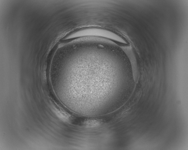 X0000081560299200701221034