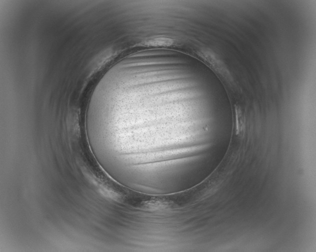 X0000081560300200701221034