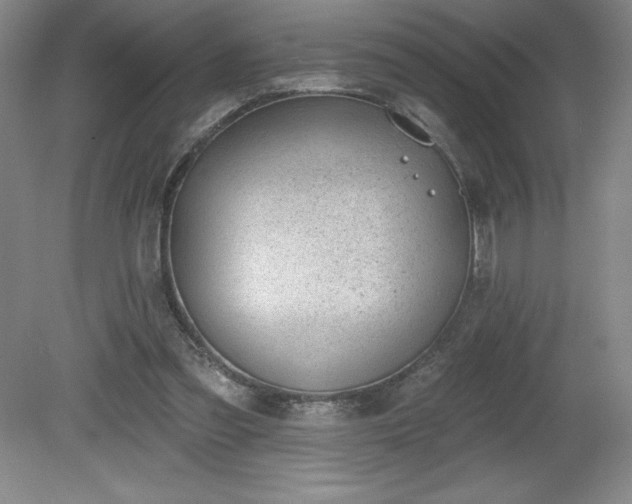 X0000081560301200701221034