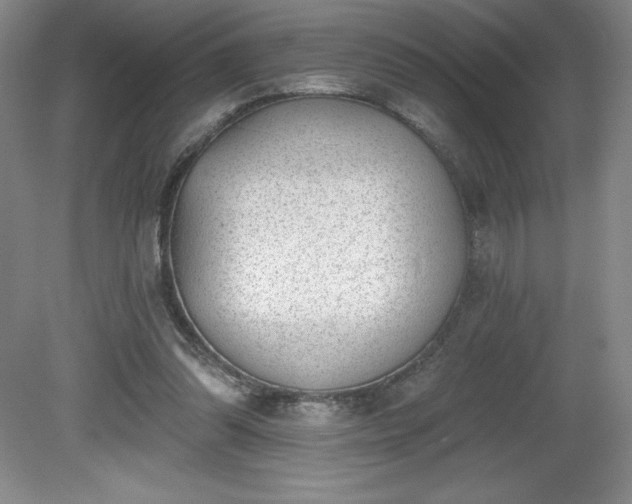 X0000081560302200701221034