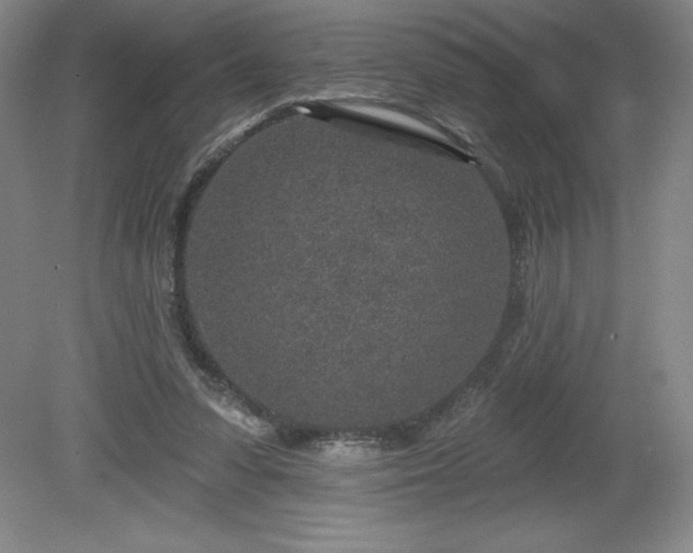 X0000081560303200701221034