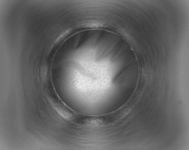 X0000081560304200701221034