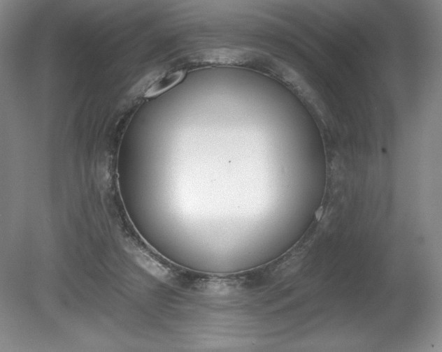 X0000081560305200701221034