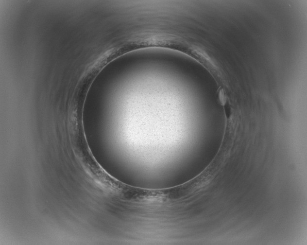 X0000081560306200701221034