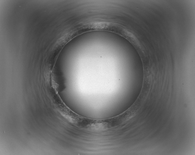 X0000081560307200701221034