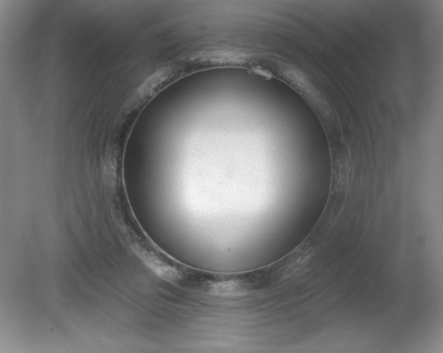 X0000081560309200701221034