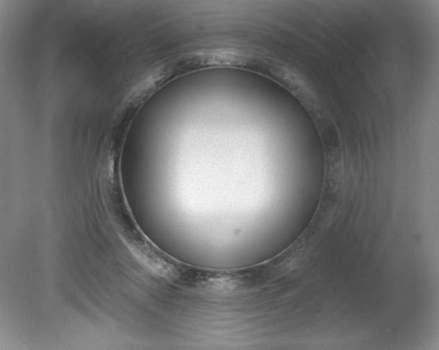 X0000081560310200701221034