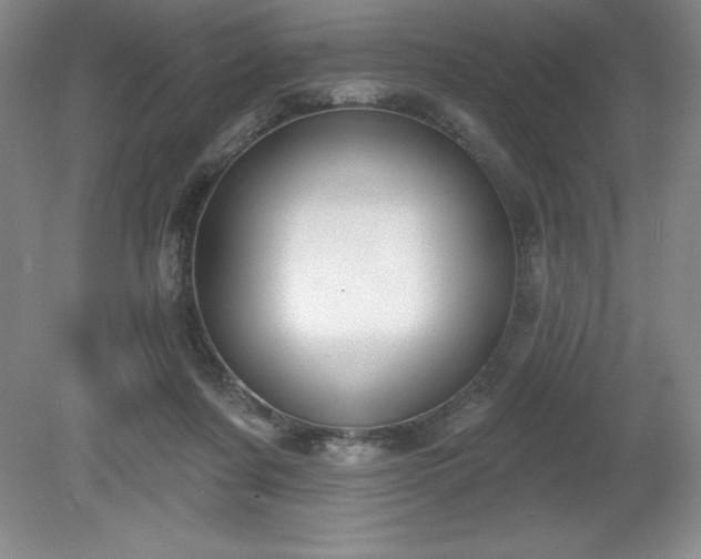 X0000081560311200701221034