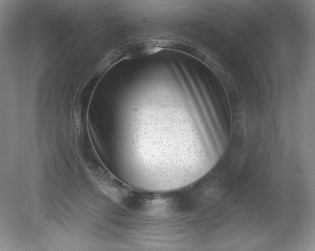 X0000081560312200701221034