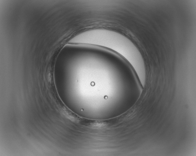 X0000081560313200701221034