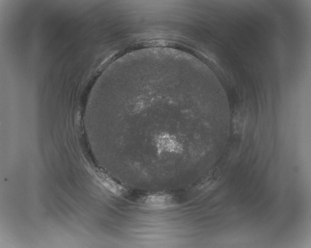 X0000081560314200701221034