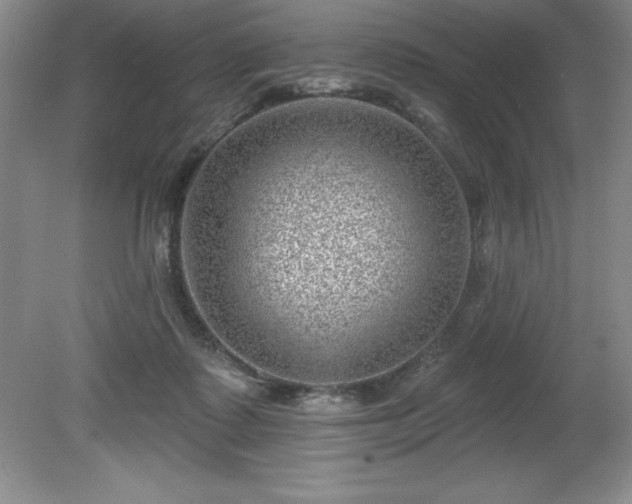 X0000081560315200701221034