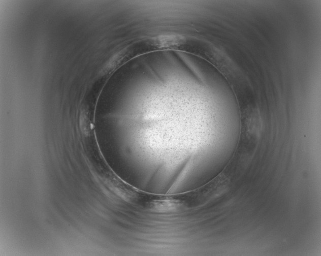 X0000081560316200701221034