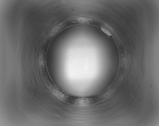 X0000081560317200701221034