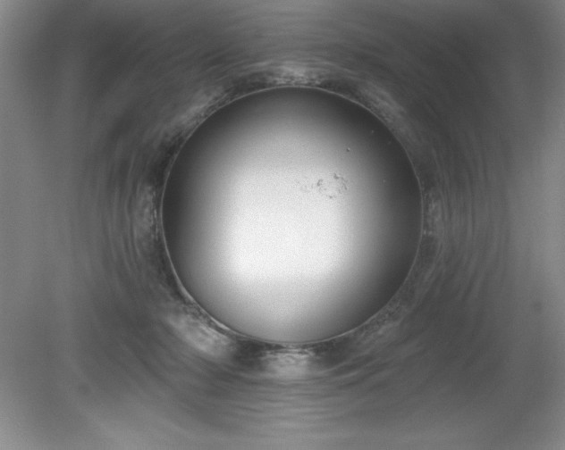 X0000081560318200701221033