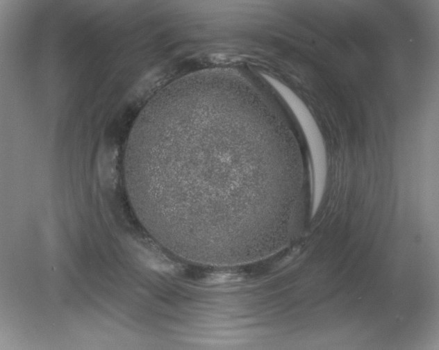 X0000081560319200701221033