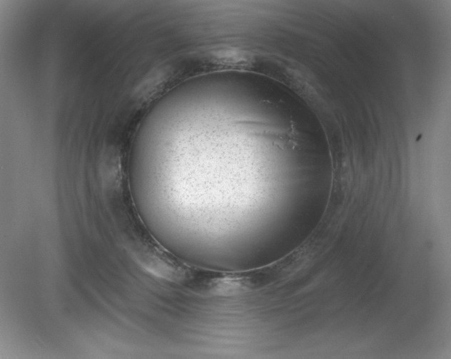 X0000081560320200701221033