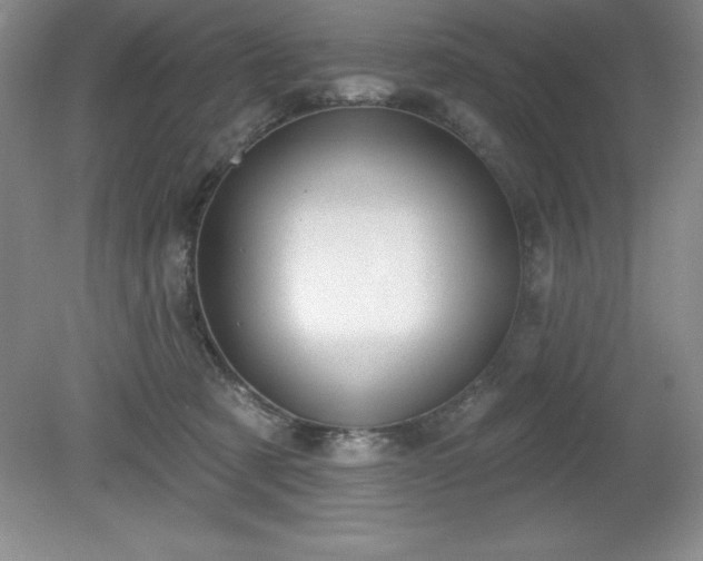 X0000081560321200701221033