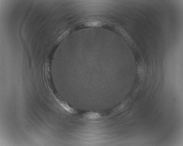 X0000081560322200701221033