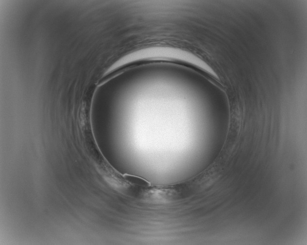 X0000081560323200701221033