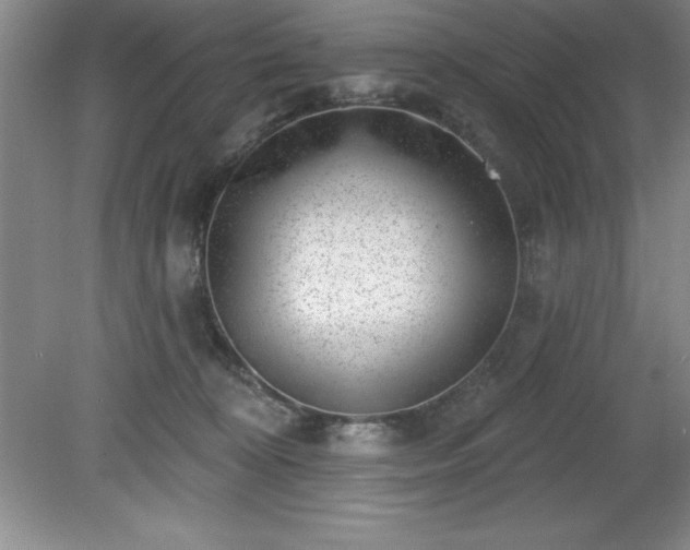 X0000081560324200701221033