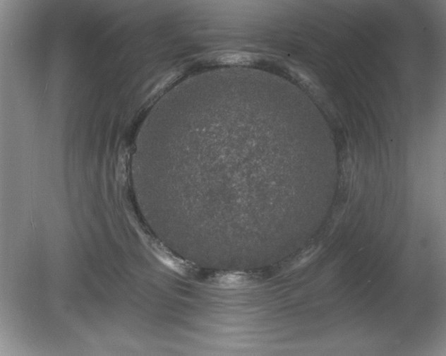 X0000081560325200701221033