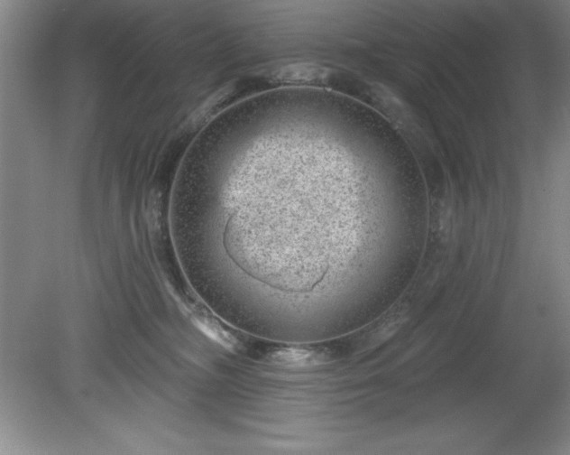 X0000081560326200701221033