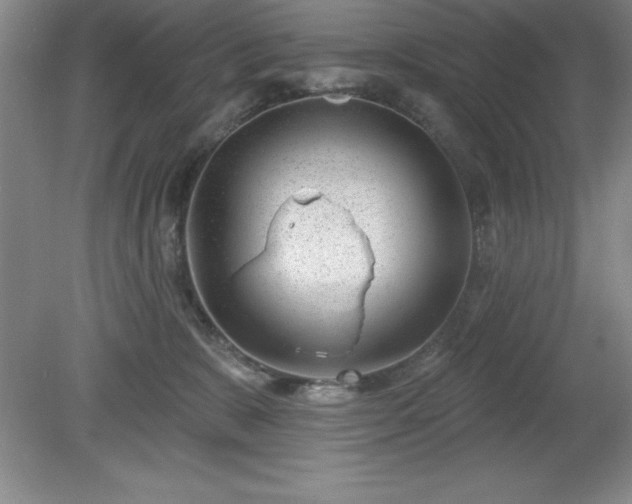 X0000081560327200701221033