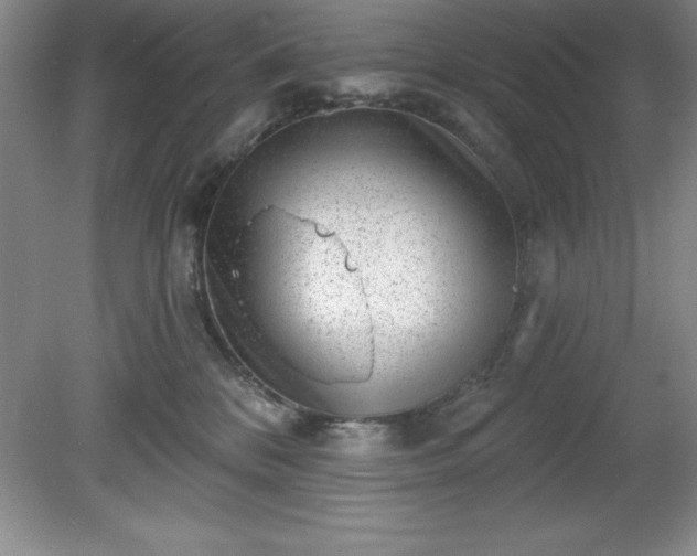 X0000081560328200701221033