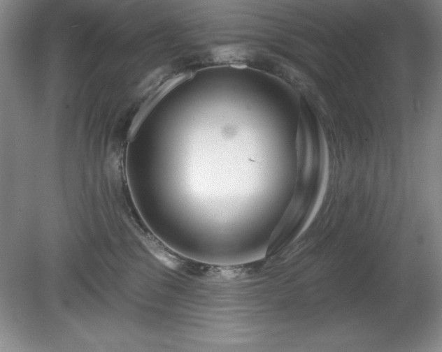 X0000081560329200701221033