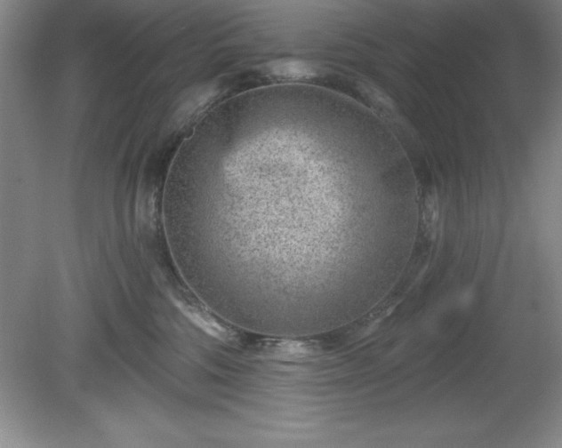 X0000081560330200701221033