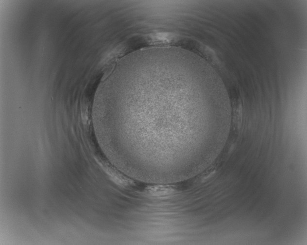 X0000081560331200701221033