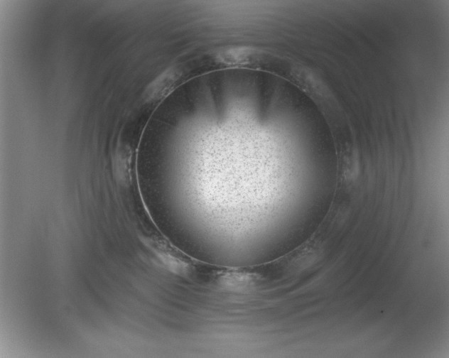 X0000081560332200701221033