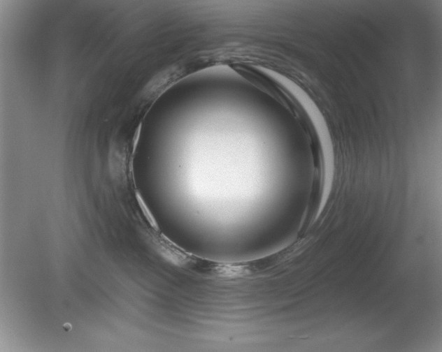 X0000081560333200701221033