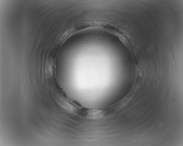 X0000081560334200701221033