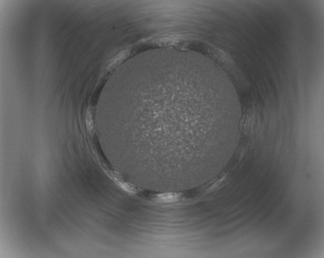 X0000081560335200701221033