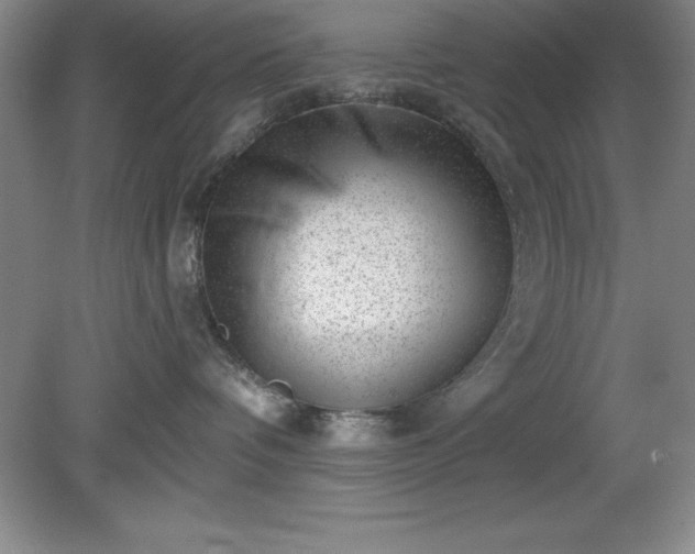 X0000081560336200701221033