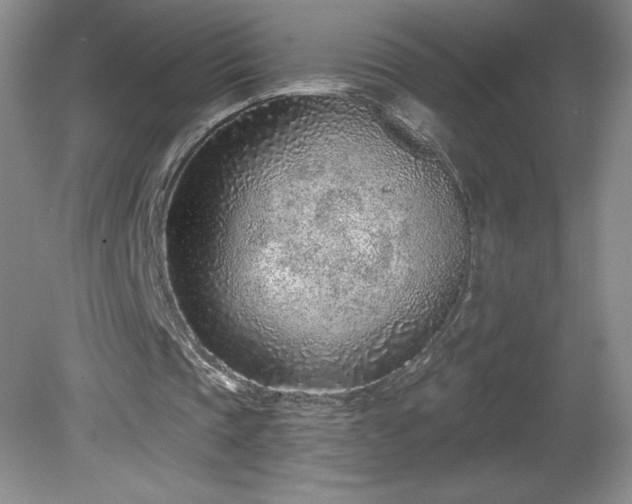 X0000081560337200701221032