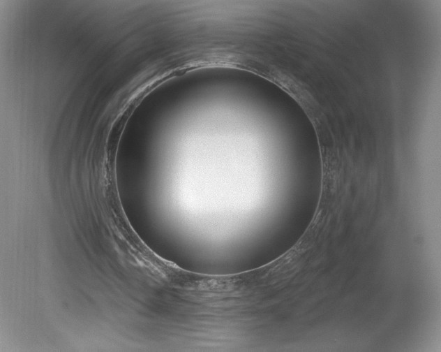 X0000081560338200701221032