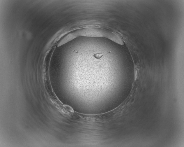 X0000081560339200701221032