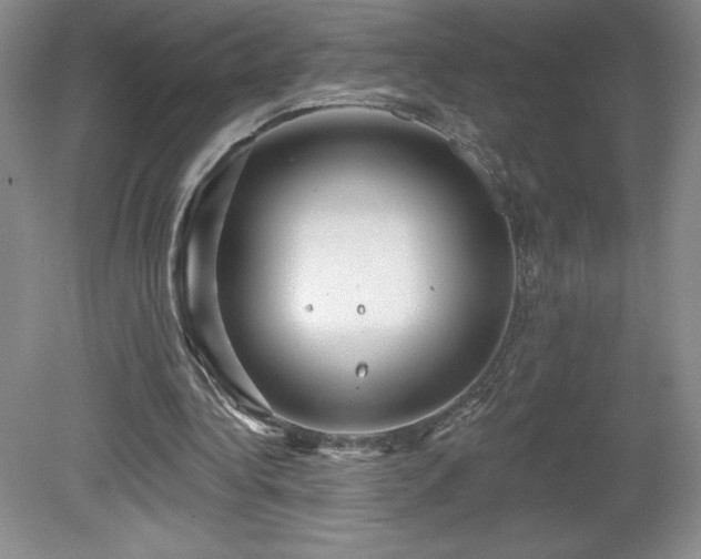 X0000081560340200701221032