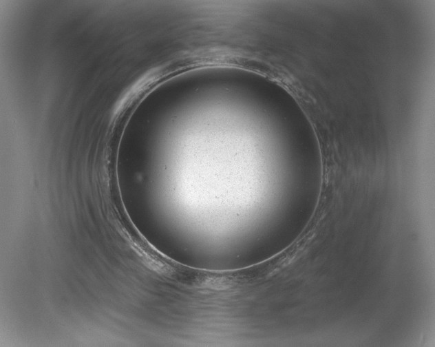 X0000081560341200701221032