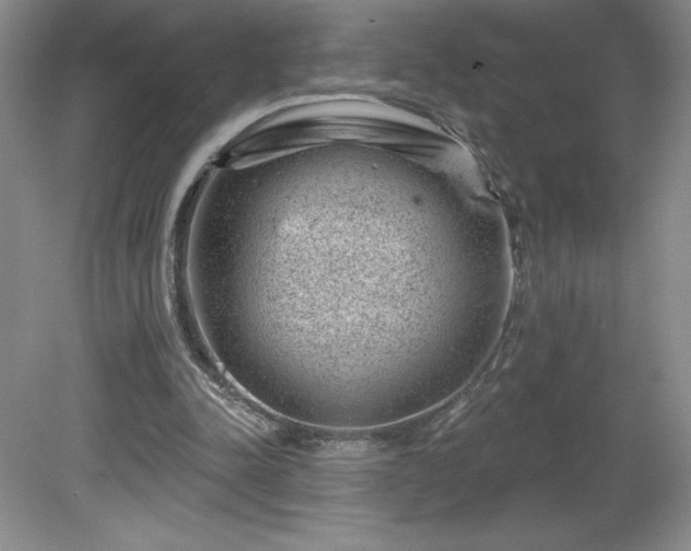 X0000081560342200701221032